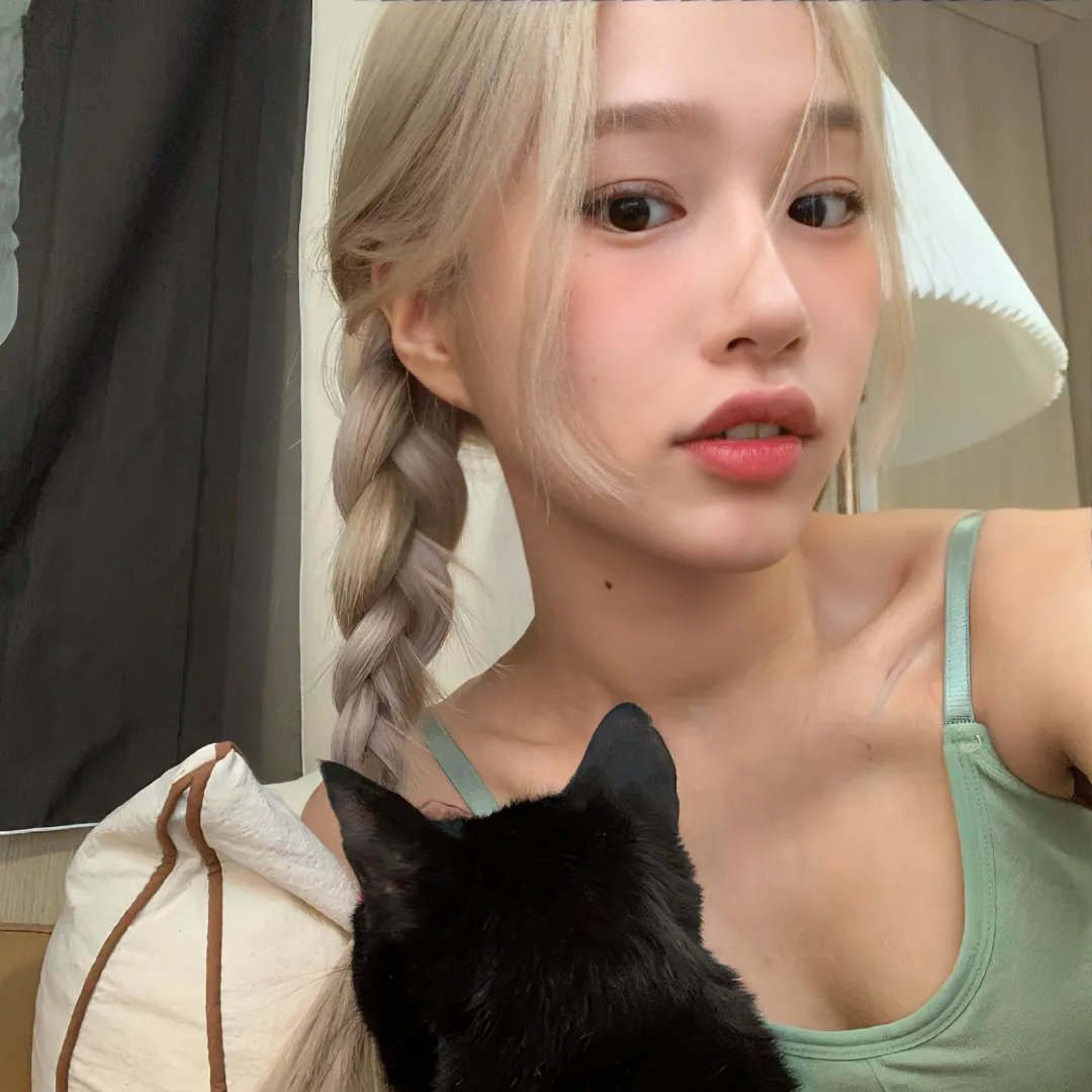 猫咪马汀